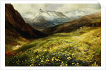 Flowers of the Alps by John MacWhirter