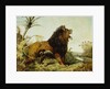 A Lion in a Jungle Landscape by William Huggins
