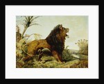 A Lion in a Jungle Landscape by William Huggins