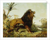 A Lion in a Jungle Landscape by William Huggins