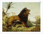 A Lion in a Jungle Landscape by William Huggins