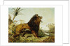 A Lion in a Jungle Landscape by William Huggins