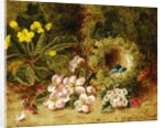 A Primrose and Birds Nest on a Mossy Bank by Oliver Clare