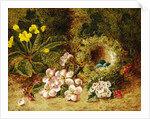 A Primrose and Birds Nest on a Mossy Bank by Oliver Clare