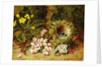 A Primrose and Birds Nest on a Mossy Bank by Oliver Clare