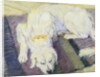 Dog Lying Down (Dog Portrait) by Franz Marc
