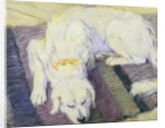 Dog Lying Down (Dog Portrait) by Franz Marc