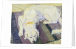 Dog Lying Down (Dog Portrait) by Franz Marc