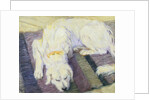 Dog Lying Down (Dog Portrait) by Franz Marc