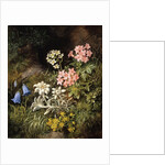 Edelweiss and Other Alpine Flowers by Theodor Petter