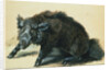 A Wild Boar at Bay by Jean-Baptiste Oudry