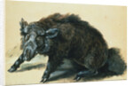 A Wild Boar at Bay by Jean-Baptiste Oudry