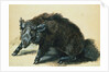 A Wild Boar at Bay by Jean-Baptiste Oudry