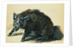 A Wild Boar at Bay by Jean-Baptiste Oudry