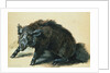 A Wild Boar at Bay by Jean-Baptiste Oudry