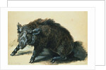A Wild Boar at Bay by Jean-Baptiste Oudry