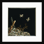 A Lacquer Suzuribako Decorated in Gold Hiramakie on a Roironuri Ground and Inlaid in Mother-of-Pearl, Coral and Enamelled Stoneware with Birds Above by Anonymous