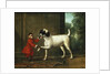 A Monkey Wearing a Crimson Livery Dancing with a Poodle on the Terrace of a Country House by John Wootton