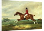 Portrait of George Payne of Sulby on His Chestnut Hunter, "The Clipper" with the Pytchley at Full Cry by John Ferneley