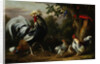 Poultry and Other Birds in the Garden of a Mansion by Jakob Bogdany