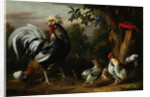 Poultry and Other Birds in the Garden of a Mansion by Jakob Bogdany