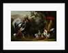 Poultry and Other Birds in the Garden of a Mansion by Jakob Bogdany