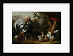 Poultry and Other Birds in the Garden of a Mansion by Jakob Bogdany