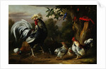 Poultry and Other Birds in the Garden of a Mansion by Jakob Bogdany