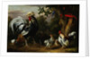 Poultry and Other Birds in the Garden of a Mansion by Jakob Bogdany