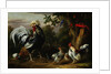 Poultry and Other Birds in the Garden of a Mansion by Jakob Bogdany