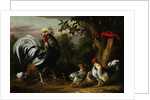 Poultry and Other Birds in the Garden of a Mansion by Jakob Bogdany
