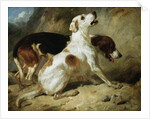 Foxhounds, Fox Gone to Earth: The Two Hounds Messmate and Coventry by Thomas Woodward