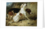 Foxhounds, Fox Gone to Earth: The Two Hounds Messmate and Coventry by Thomas Woodward