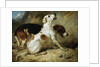 Foxhounds, Fox Gone to Earth: The Two Hounds Messmate and Coventry by Thomas Woodward