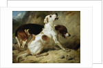 Foxhounds, Fox Gone to Earth: The Two Hounds Messmate and Coventry by Thomas Woodward