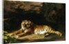 Portrait of the Royal Tiger by George Stubbs