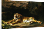 Portrait of the Royal Tiger by George Stubbs