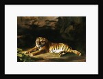 Portrait of the Royal Tiger by George Stubbs