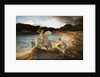 The Rape of Europa by Rene Menard