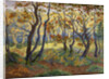 The Clearing by Paul Ranson