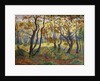 The Clearing by Paul Ranson