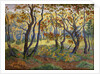 The Clearing by Paul Ranson