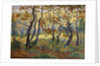 The Clearing by Paul Ranson