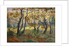 The Clearing by Paul Ranson