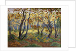 The Clearing by Paul Ranson
