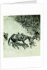 Crossing a Dangerous Place by Frederic Remington