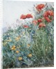 Poppies, Appledore by Childe Hassam