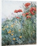 Poppies, Appledore by Childe Hassam