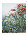 Poppies, Appledore by Childe Hassam