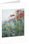 Poppies, Appledore by Childe Hassam